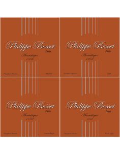 Philippe Bosset Acoustique Phosphore Bronze cordes guitare