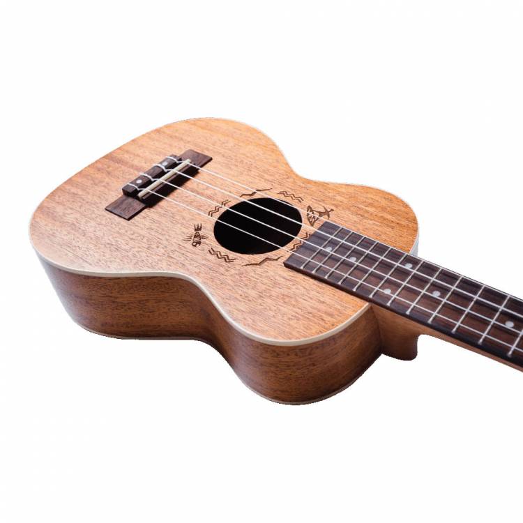 ukulele concert Flight DUC323