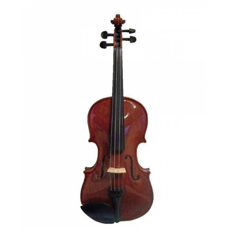Ensemble violon Stentor Conservatoire