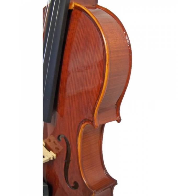 Ensemble violon Stentor Conservatoire