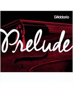 D'addario Prélude violon