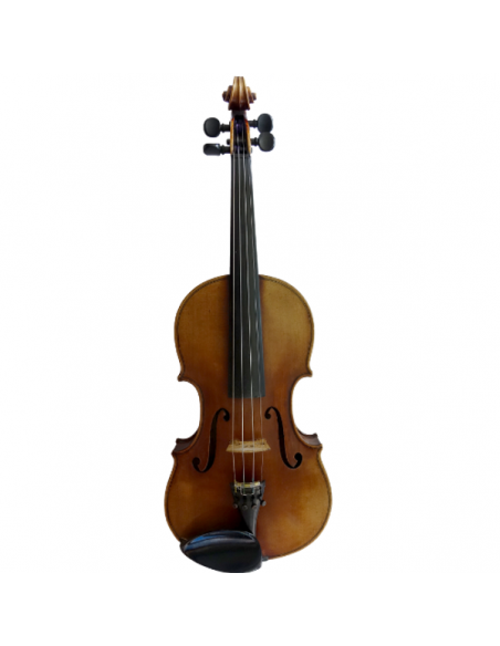 Violon