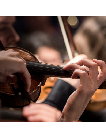 Théorie et formation musicale